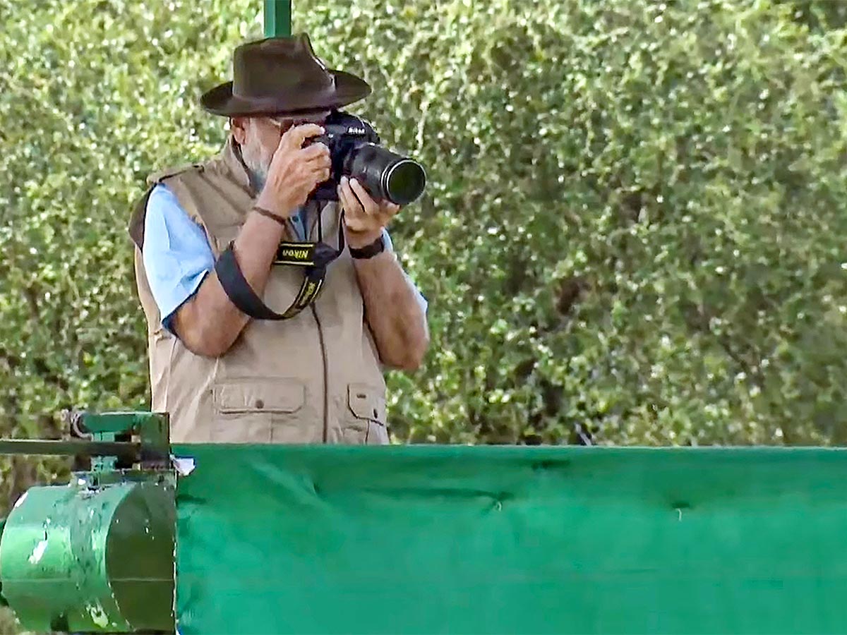 Narendra Modi Releases Cheetahs Kuno Park Photos - Sakshi6