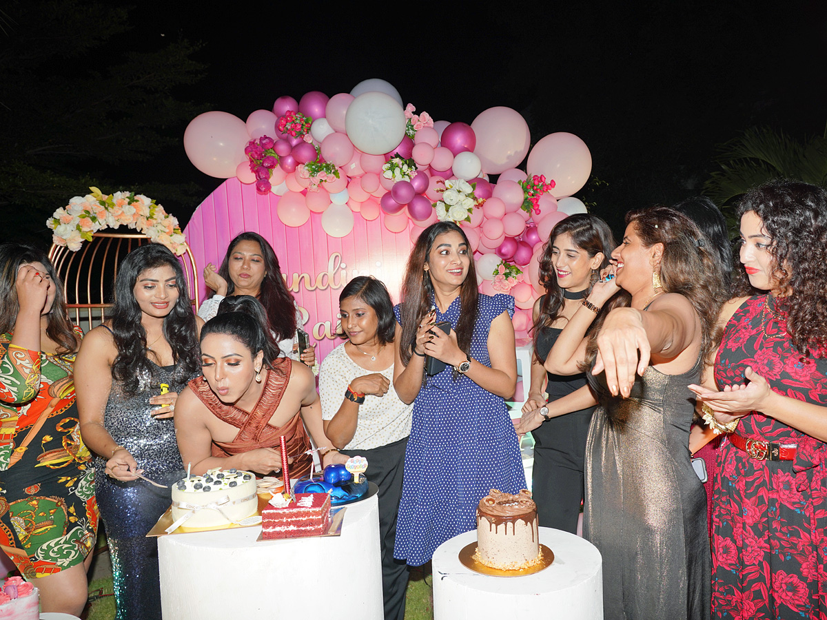 Bigg Boss Fame Nandini Roy Birthday Celebrations photo Gallery - Sakshi14