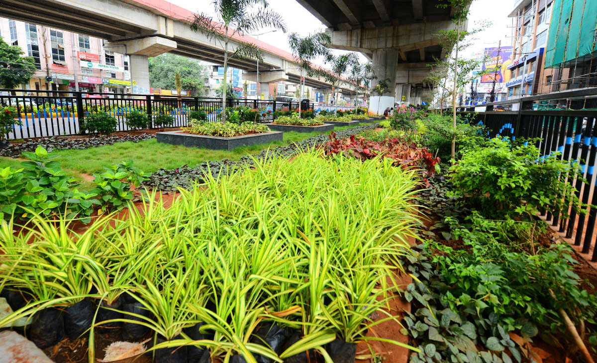 Attractive Flowering Plants In Vijayawada Benz Circle - Sakshi10