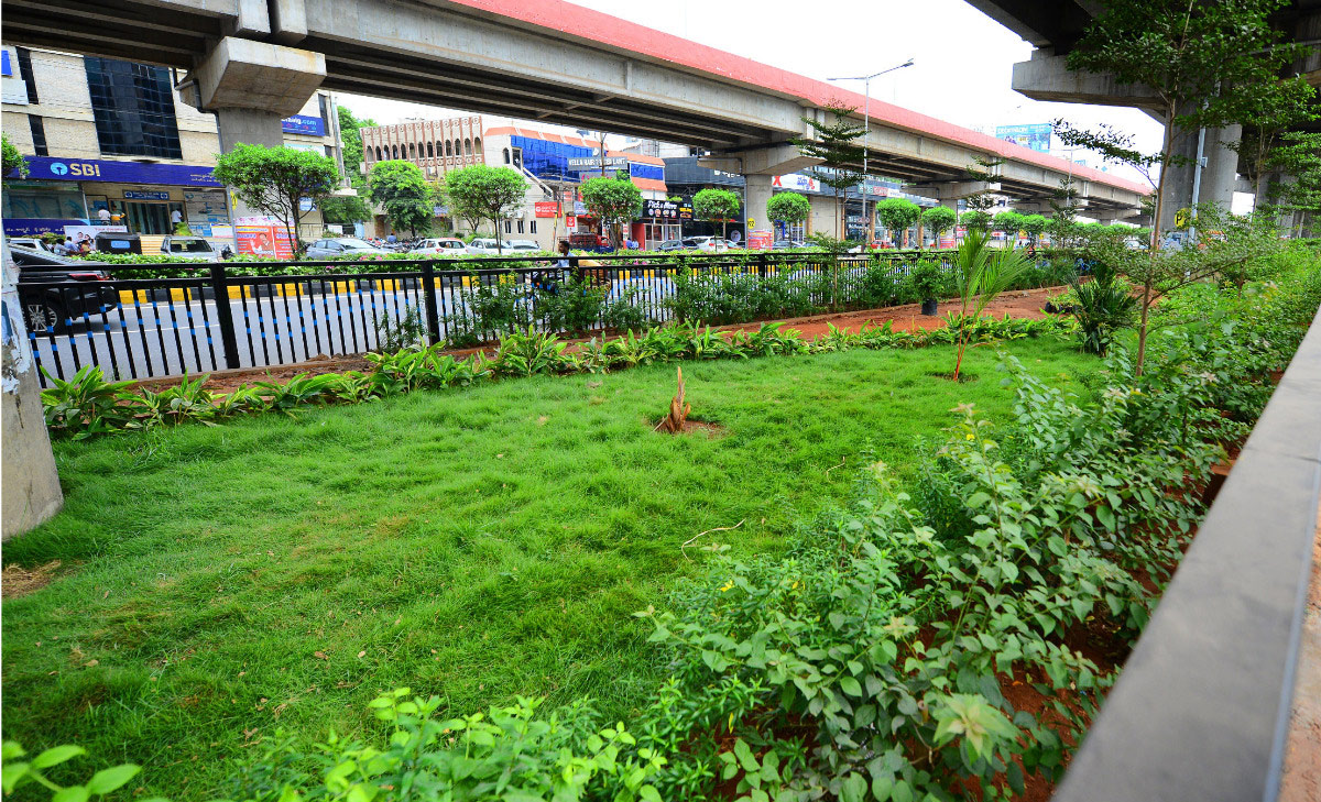 Attractive Flowering Plants In Vijayawada Benz Circle - Sakshi2