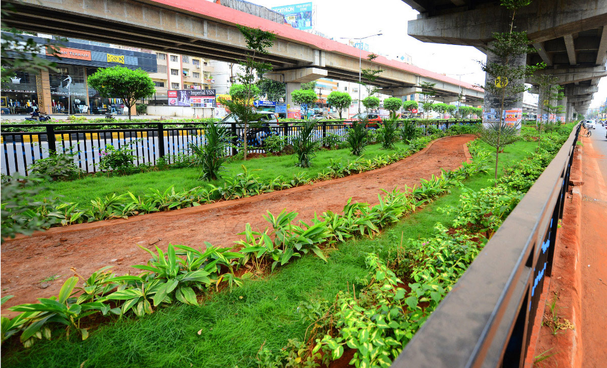 Attractive Flowering Plants In Vijayawada Benz Circle - Sakshi3