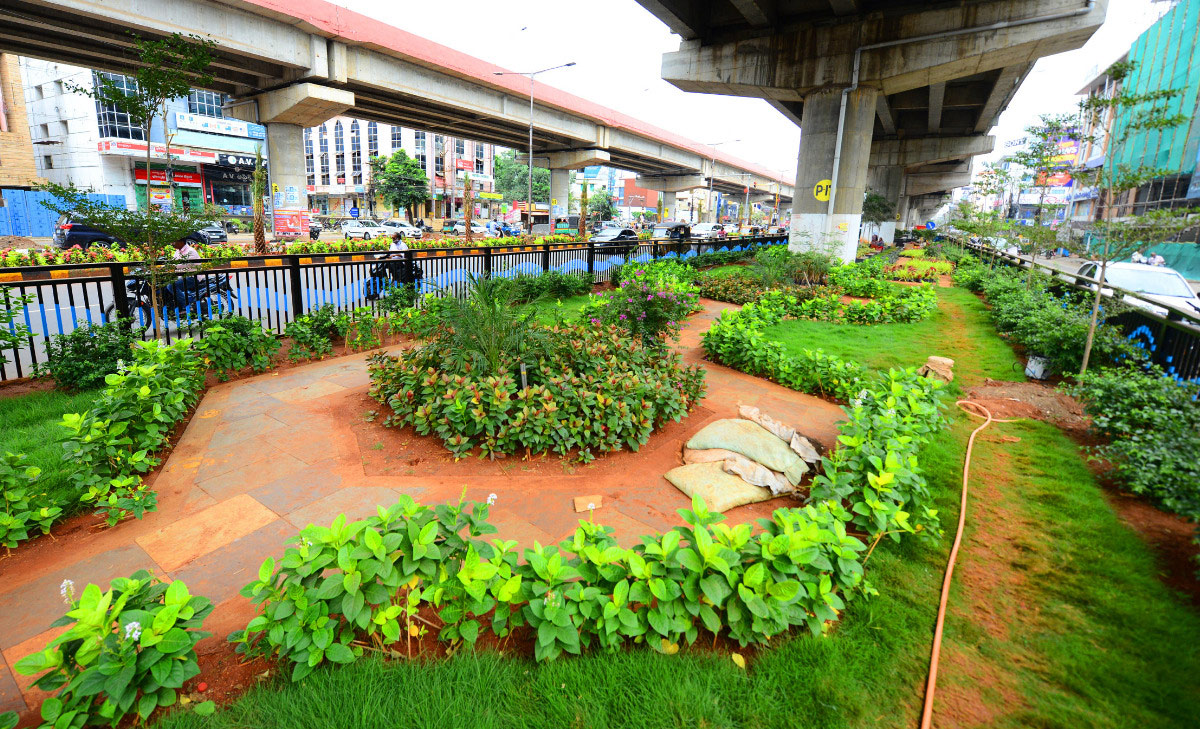 Attractive Flowering Plants In Vijayawada Benz Circle - Sakshi7