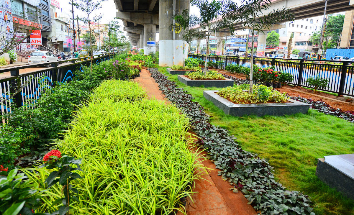 Attractive Flowering Plants In Vijayawada Benz Circle - Sakshi11