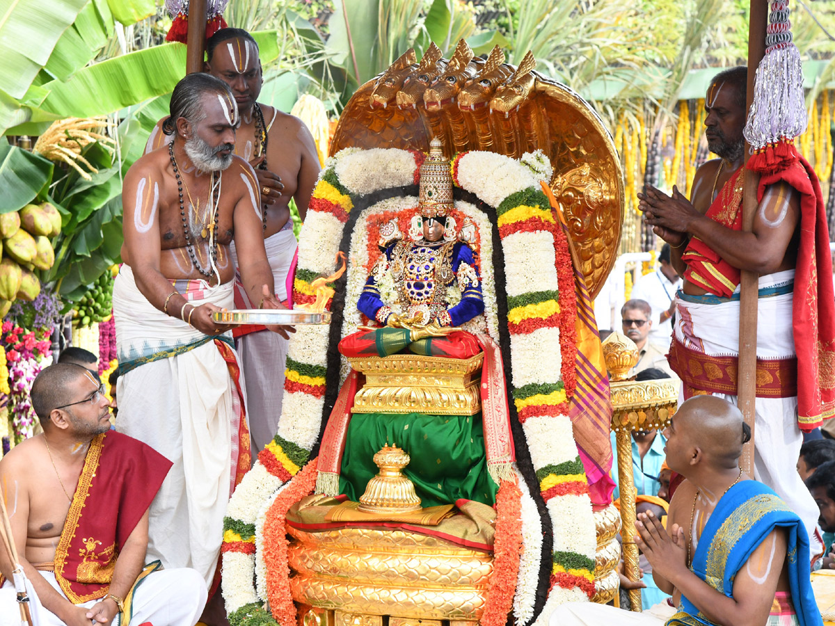 Tirumala brahmotsavam sri venkateswara swamy on chinna shesha vahana Photo Gallery - Sakshi6