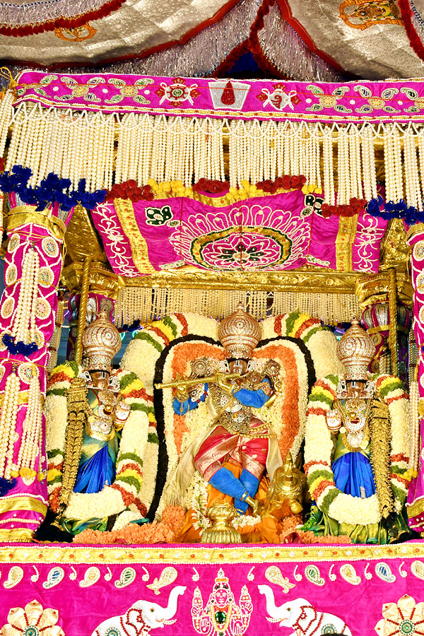 Muthyapu Pandiri Vahana Seva At Tirumala Srivari Brahmotsavam - Sakshi27