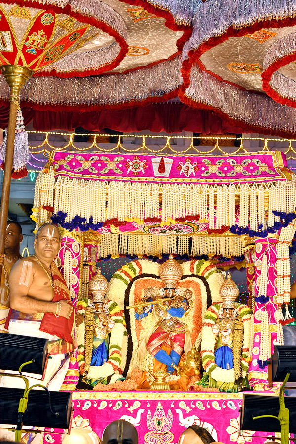 Muthyapu Pandiri Vahana Seva At Tirumala Srivari Brahmotsavam - Sakshi28