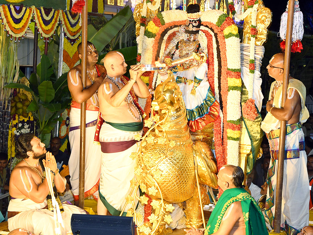 Hamsa Vahana Seva Tirumala Srivari Brahmotsavam - Sakshi19