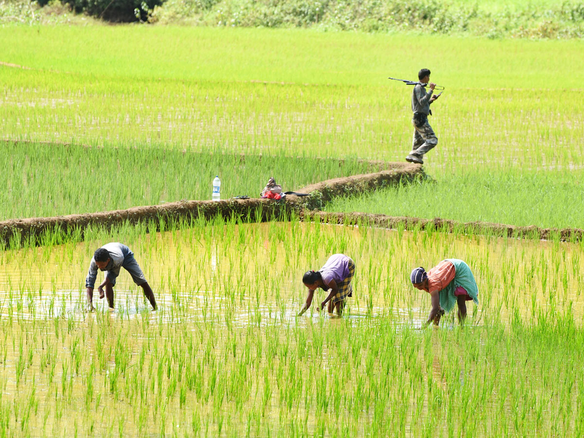 Best Photos of The Week in AP and Telangana Photo Gallery - Sakshi55