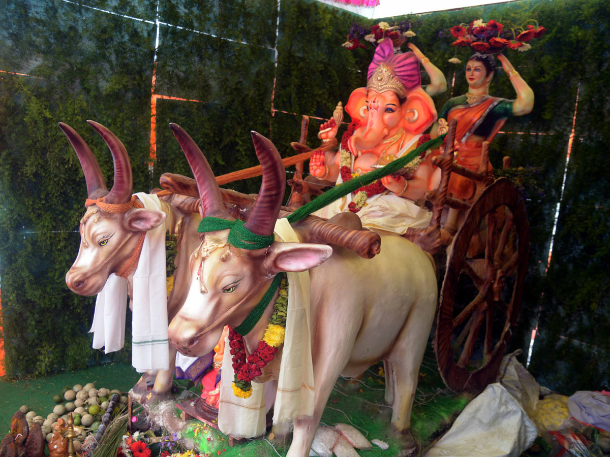 Best Photos of The Week in AP and Telangana Photo Gallery - Sakshi61