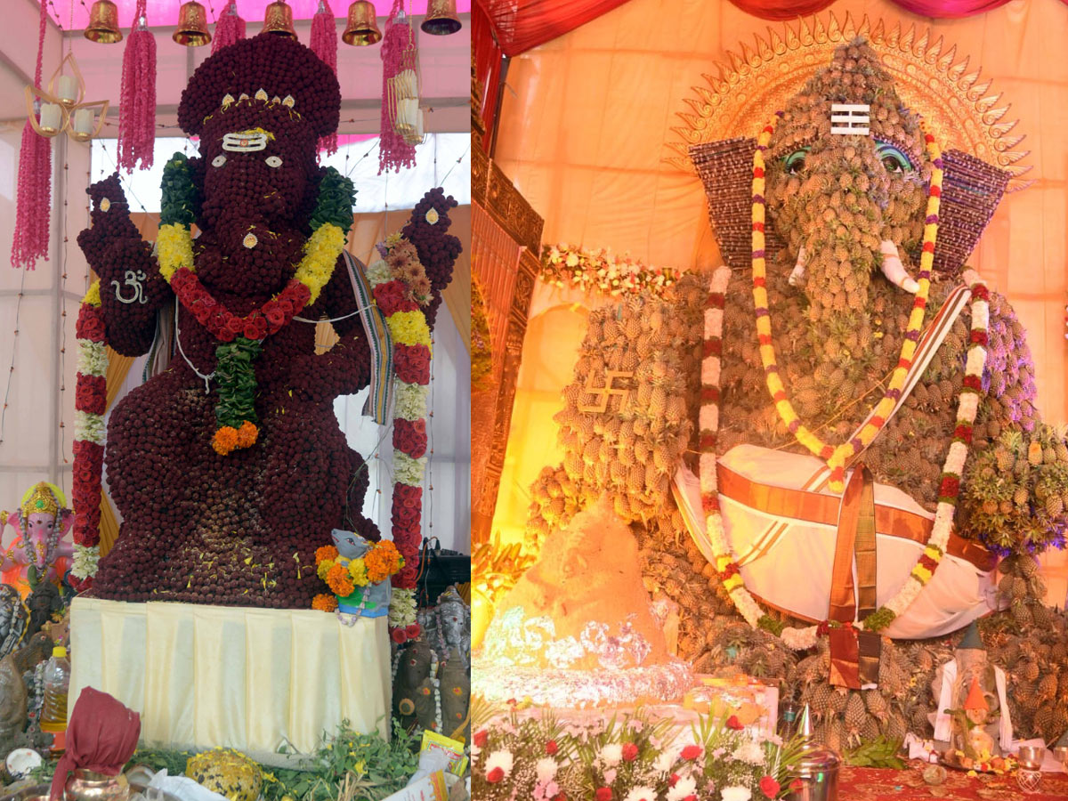 Best Photos of The Week in AP and Telangana Photo Gallery - Sakshi62
