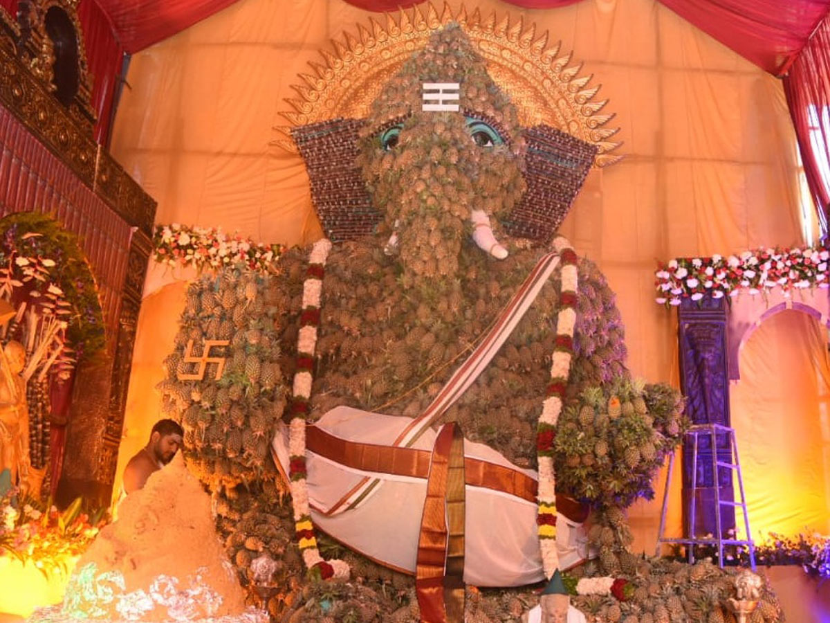 Best Photos of The Week in AP and Telangana Photo Gallery - Sakshi63