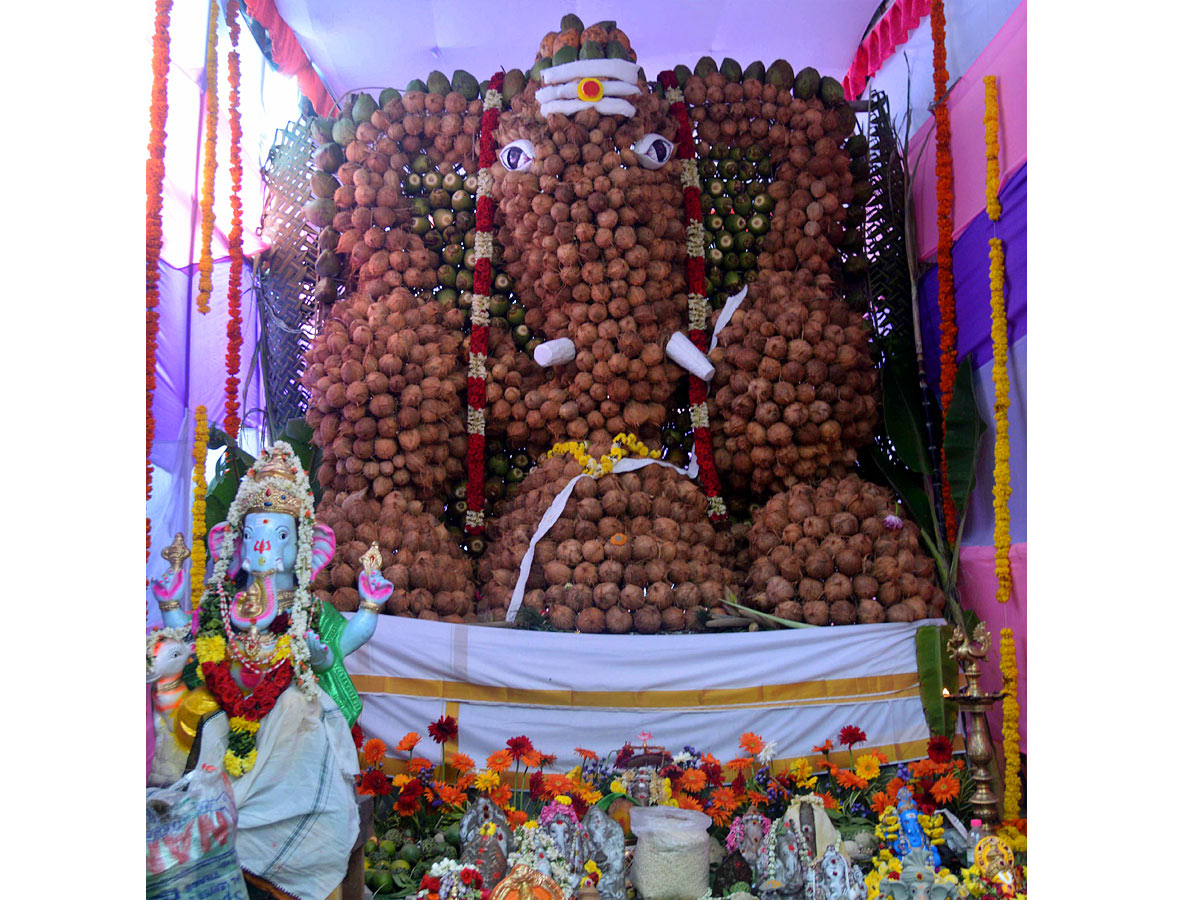 Best Photos of The Week in AP and Telangana Photo Gallery - Sakshi65