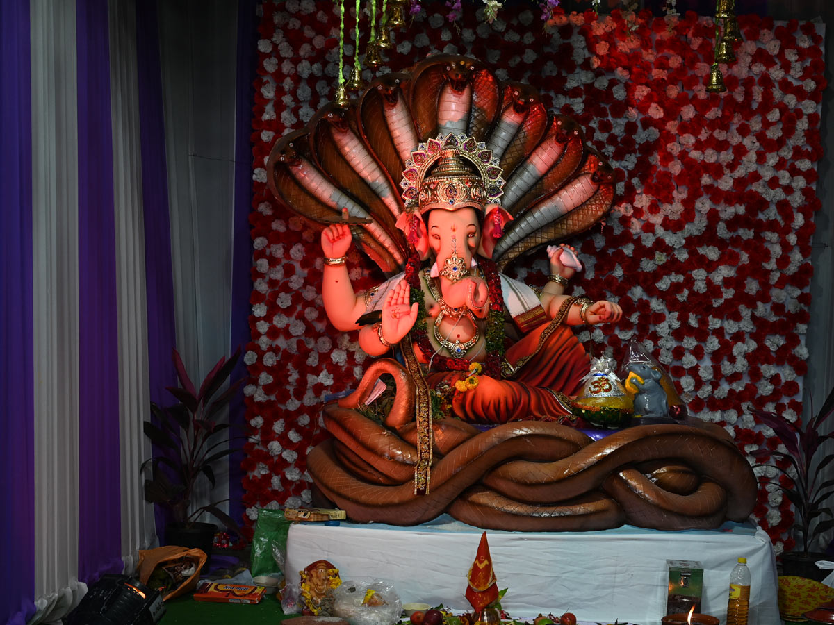 VARIOUS FORMS OF GANESHA Photo Gallery - Sakshi25