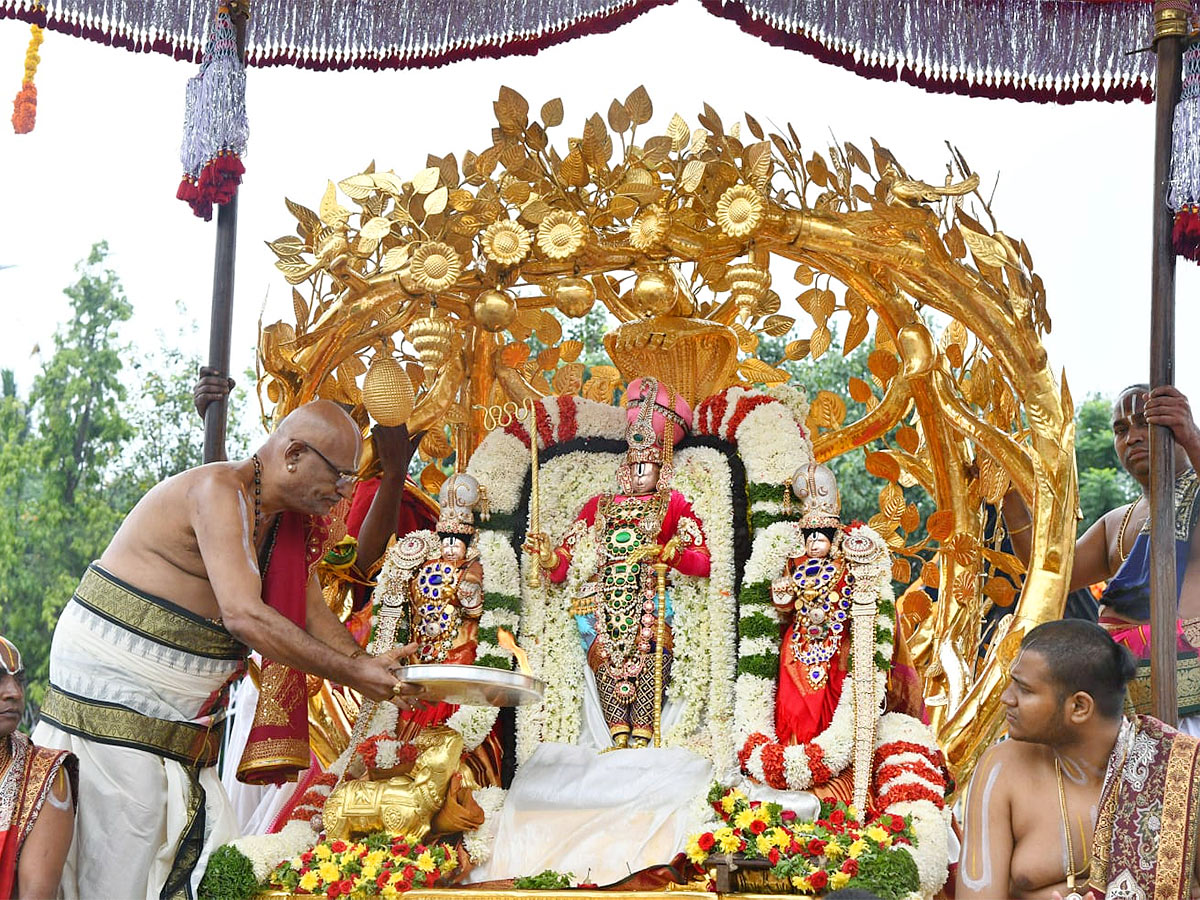 Tirumala Srivari Brahmotsavam 2022: Kalpavriksha Vahana Seva Photos - Sakshi13