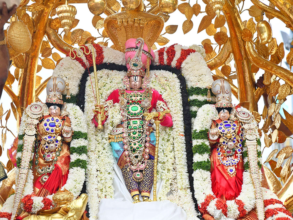 Tirumala Srivari Brahmotsavam 2022: Kalpavriksha Vahana Seva Photos - Sakshi15