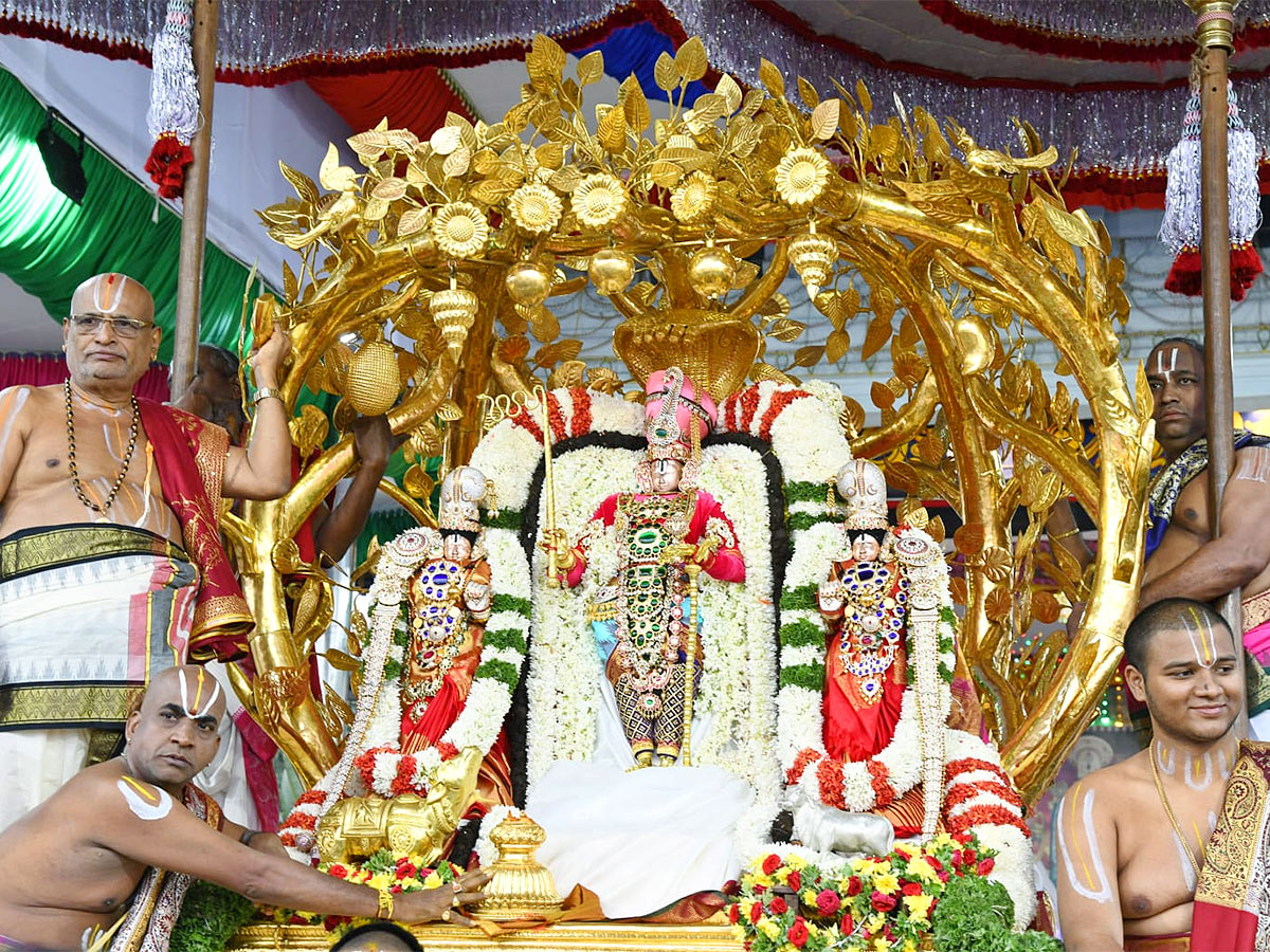 Tirumala Srivari Brahmotsavam 2022: Kalpavriksha Vahana Seva Photos - Sakshi2