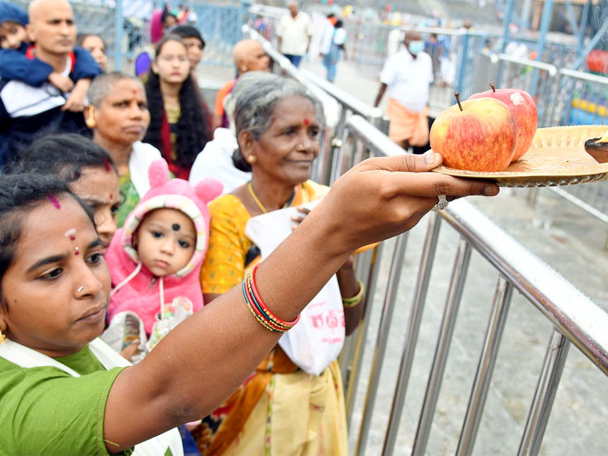 Tirumala Srivari Brahmotsavam 2022: Kalpavriksha Vahana Seva Photos - Sakshi21