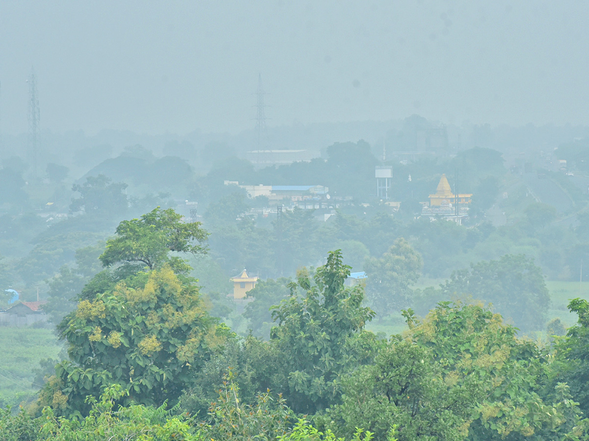 Best Photos of The Week in AP and Telangana Photo Gallery - Sakshi11