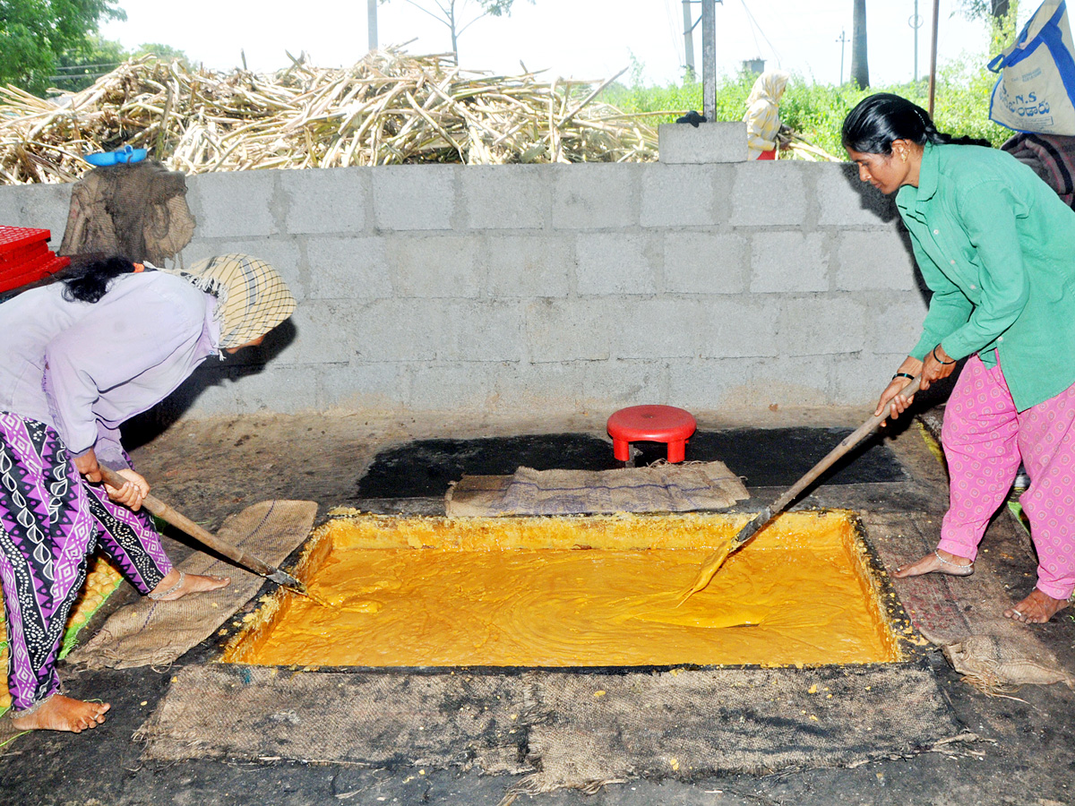 Best Photos of The Week in AP and Telangana Photo Gallery - Sakshi22