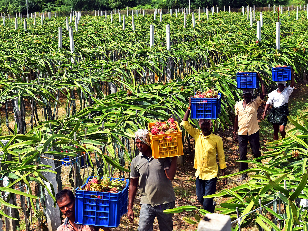 Best Photos of The Week in AP and Telangana Photo Gallery - Sakshi27