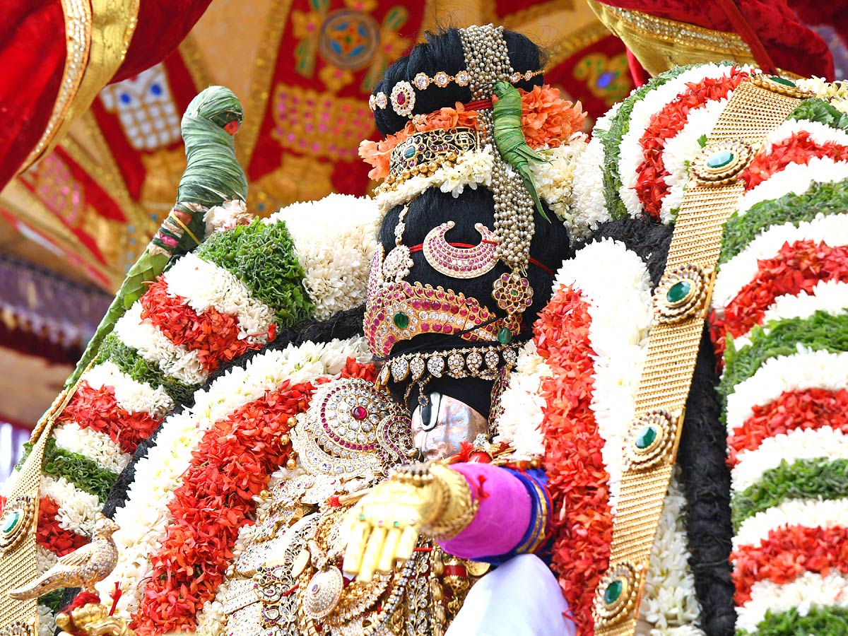 Tirumala Srivari Brahmotsavam 2022 Mohini Avataram - Sakshi26