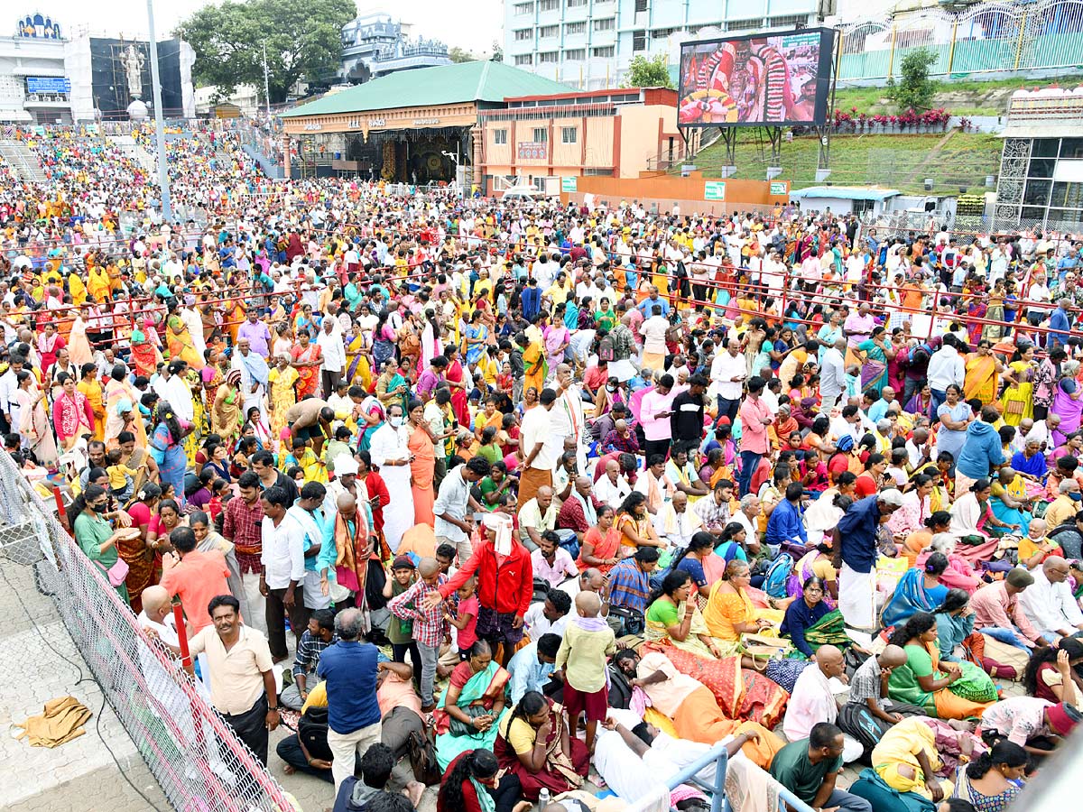 Tirumala Srivari Brahmotsavam 2022 Mohini Avataram - Sakshi6