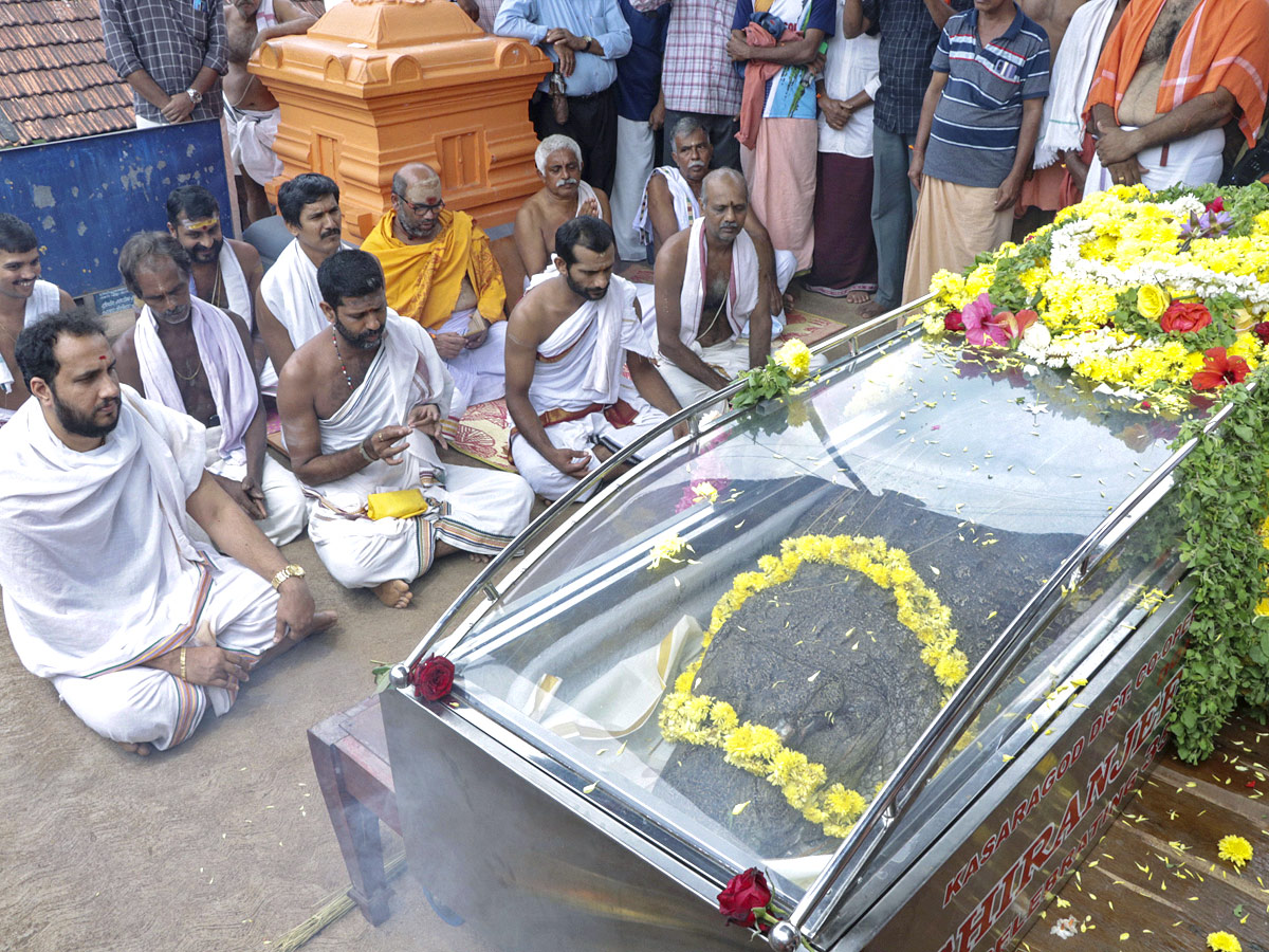 Devotees Pay Tears Tribute To Kerala Vegetarian Crocodile Babiya - Sakshi9