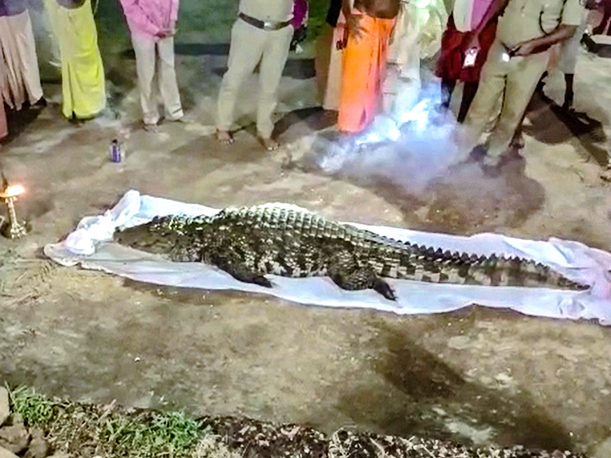 Devotees Pay Tears Tribute To Kerala Vegetarian Crocodile Babiya - Sakshi10