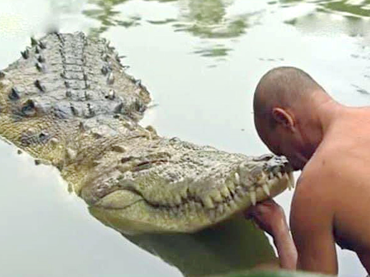 Devotees Pay Tears Tribute To Kerala Vegetarian Crocodile Babiya - Sakshi4