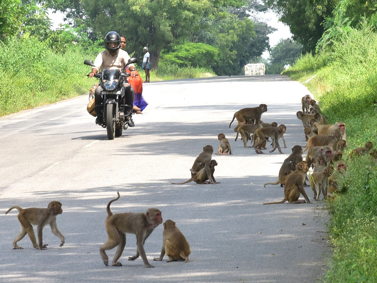 Best Photos of The Week in AP and Telangana Photo Gallery - Sakshi16