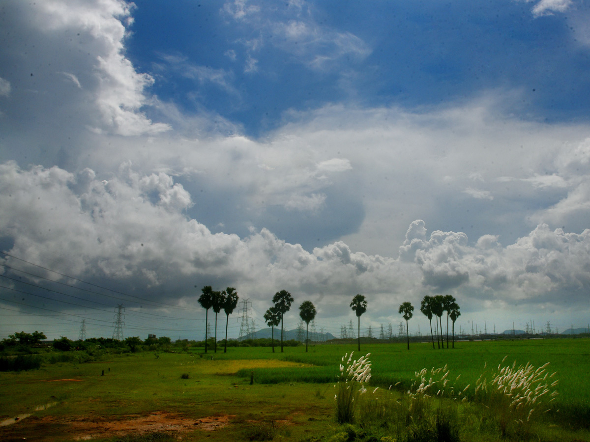 Best Photos of The Week in AP and Telangana Photo Gallery - Sakshi79