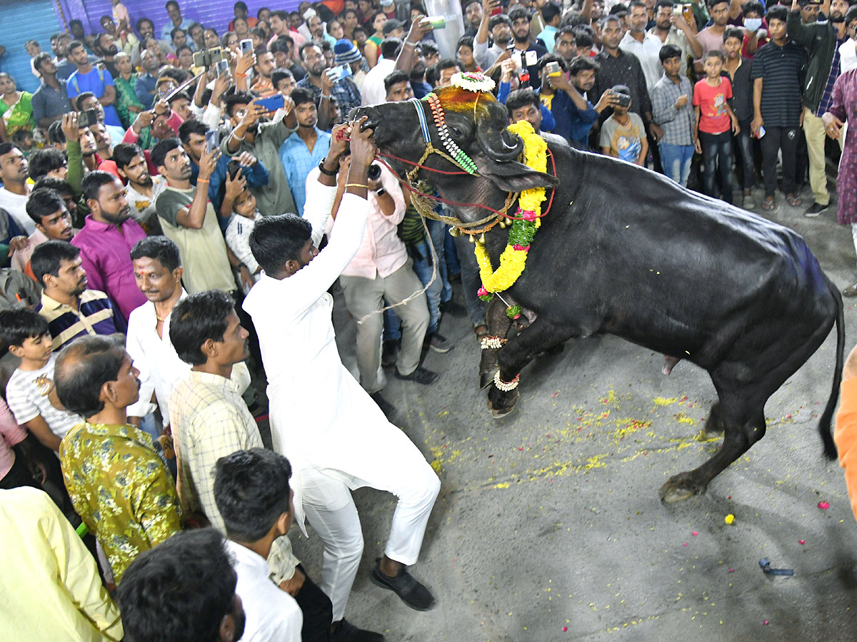 Sadar Festival Celebrations 2022 Photos - Sakshi1