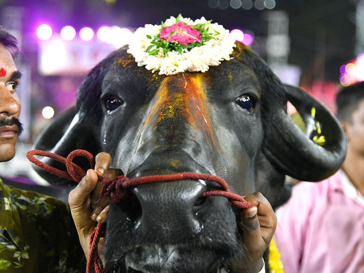 Sadar Festival Celebrations 2022 Photos - Sakshi10