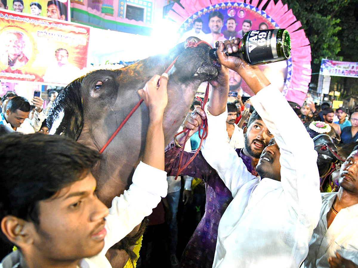 Sadar Festival Celebrations 2022 Photos - Sakshi2