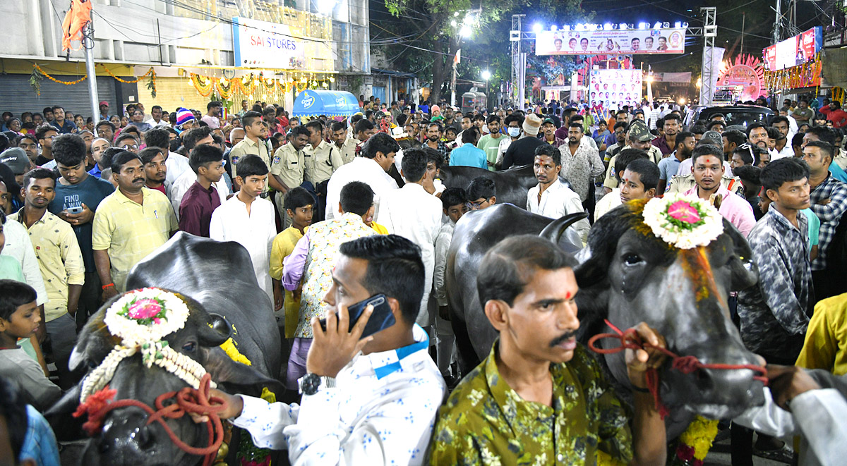 Sadar Festival Celebrations 2022 Photos - Sakshi6