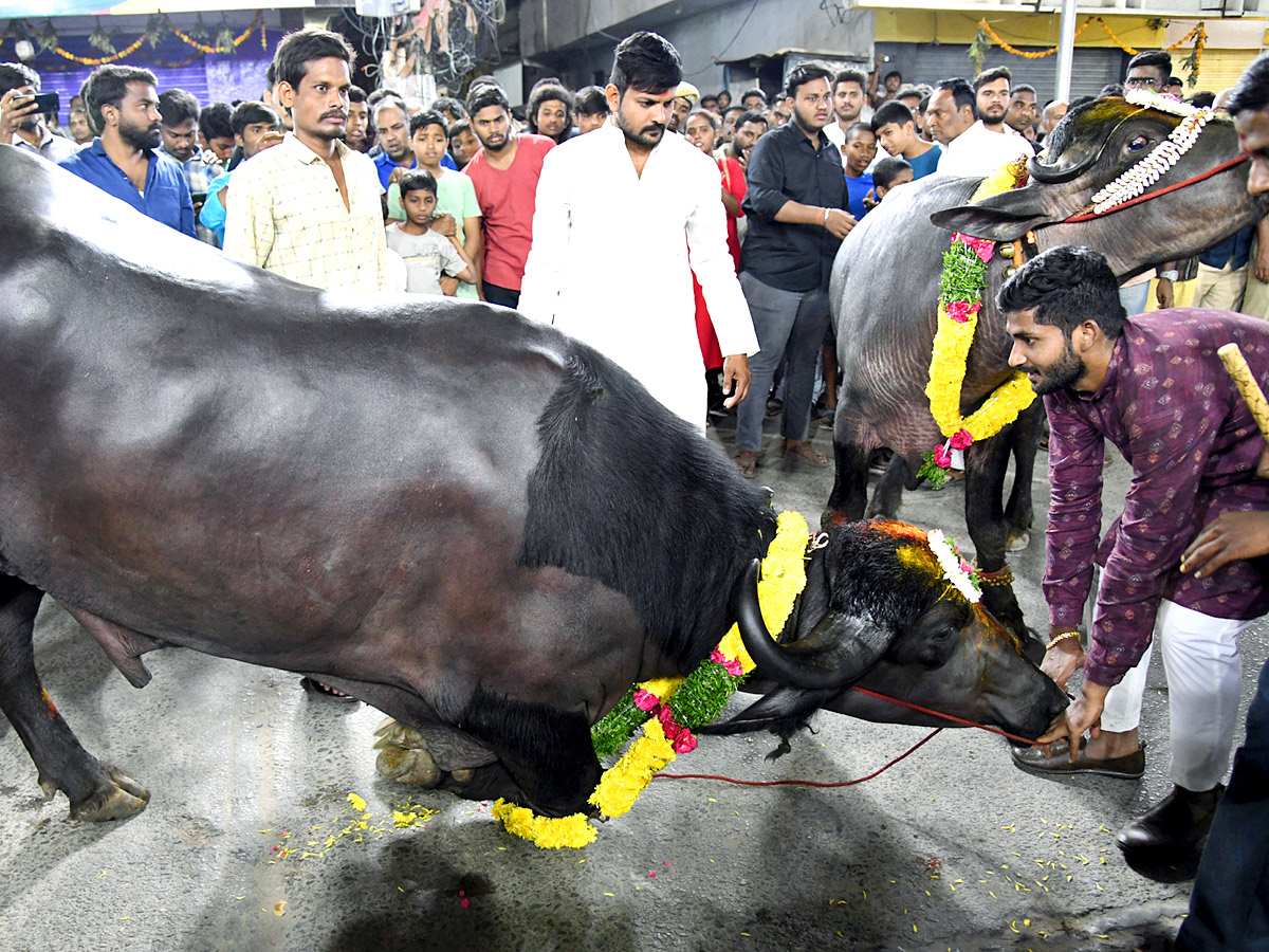 Sadar Festival Celebrations 2022 Photos - Sakshi7