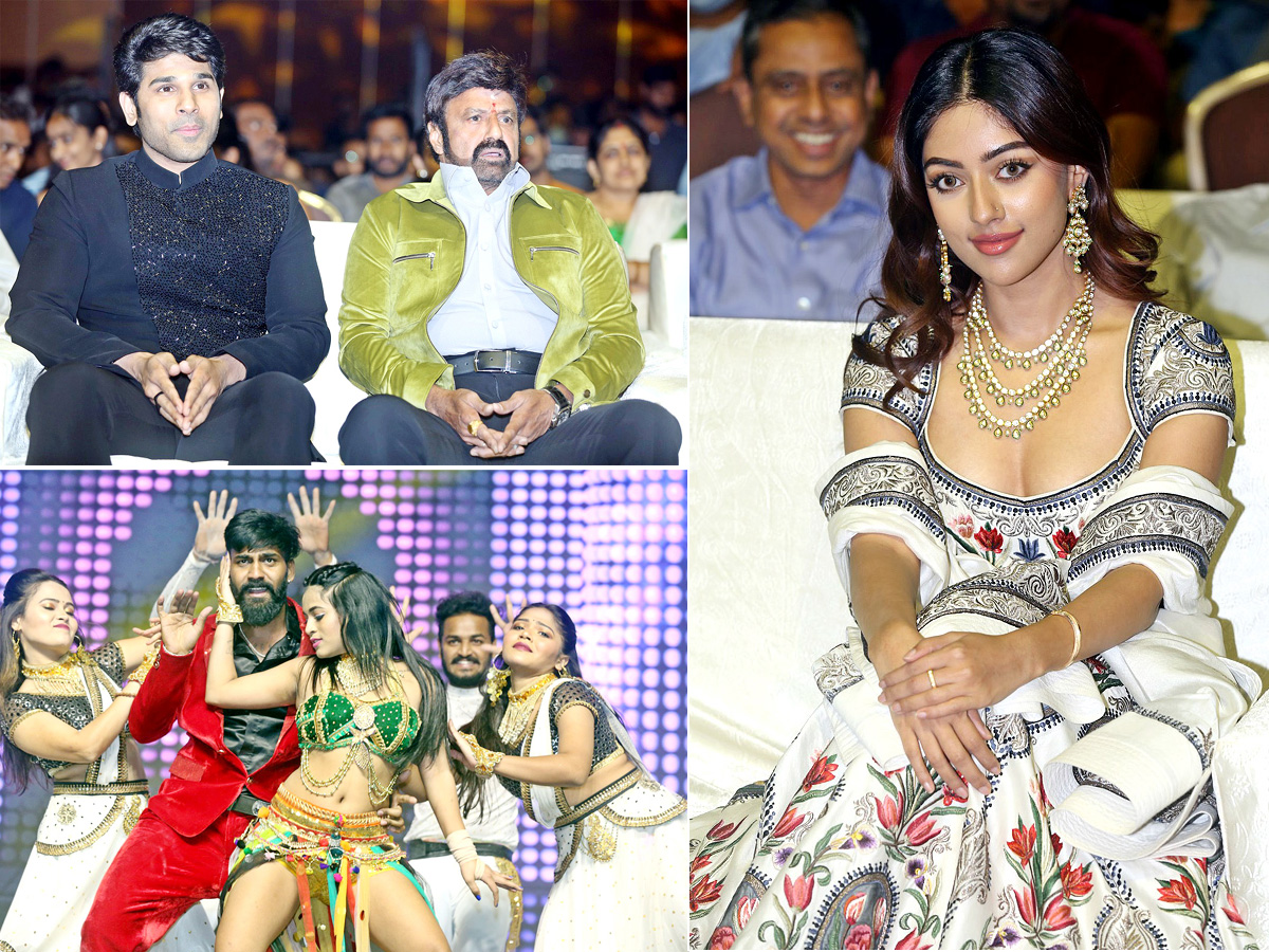 Urvasivo Rakshasivo Movie Pre Release Event - Sakshi1