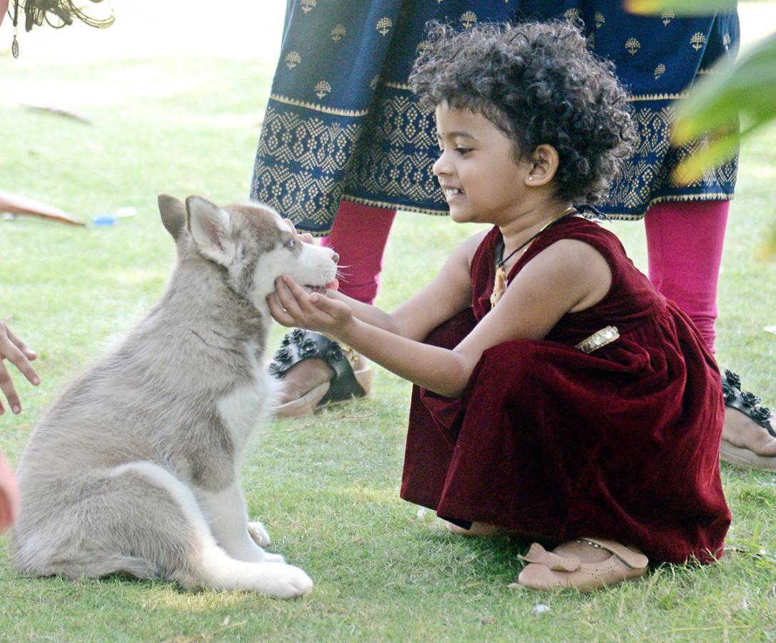 Dog Show Draws Huge Crowds In Visakhapatnam - Sakshi25