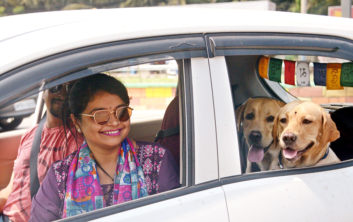 Dog Show Draws Huge Crowds In Visakhapatnam - Sakshi2