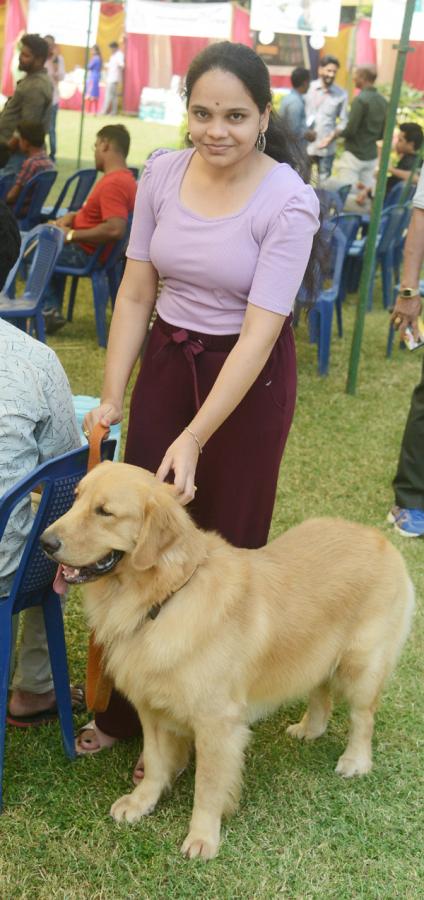 Dog Show Draws Huge Crowds In Visakhapatnam - Sakshi4