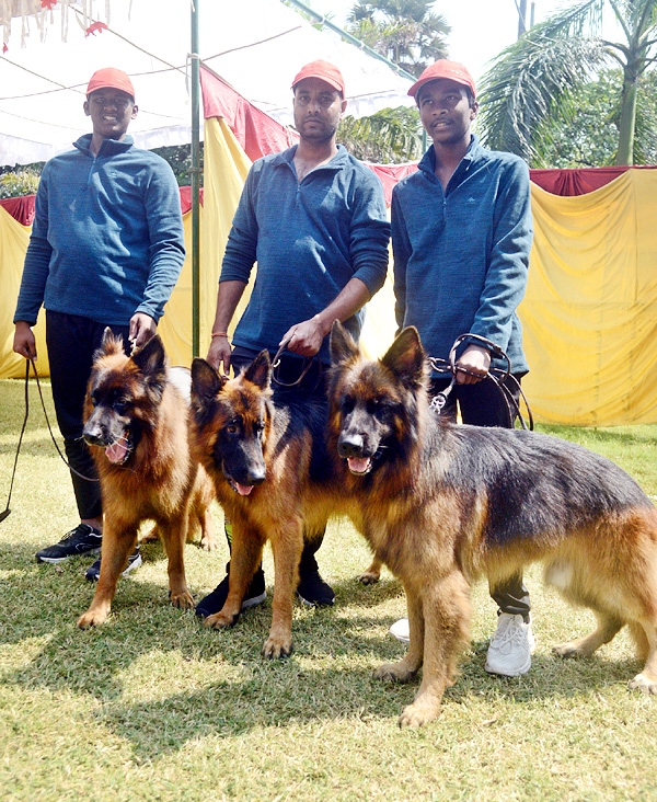 Dog Show Draws Huge Crowds In Visakhapatnam - Sakshi7