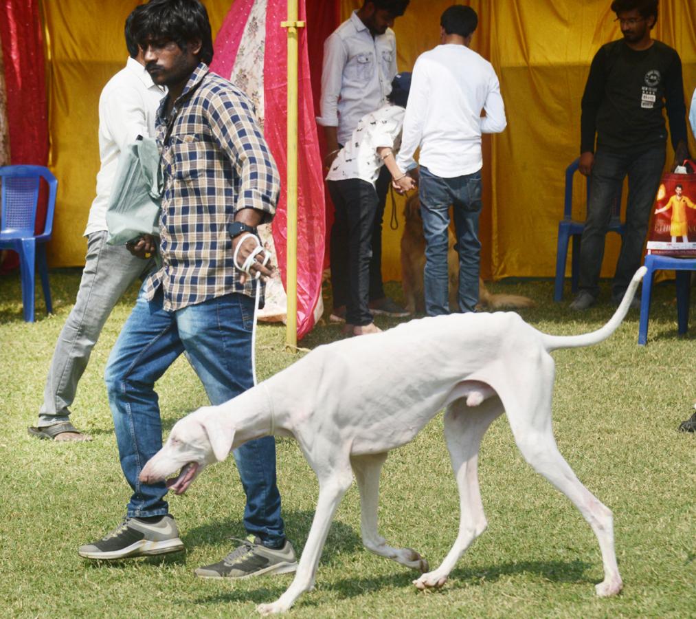 Dog Show Draws Huge Crowds In Visakhapatnam - Sakshi8