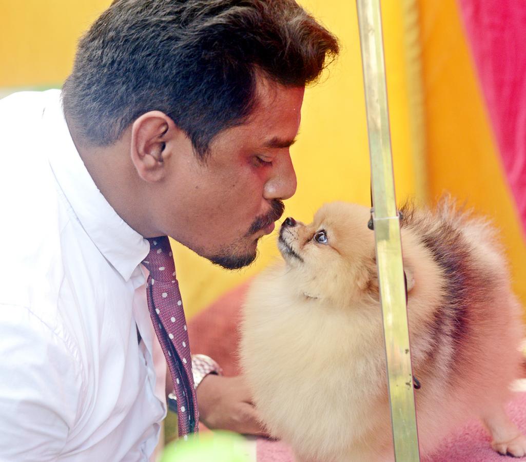 Dog Show Draws Huge Crowds In Visakhapatnam - Sakshi9