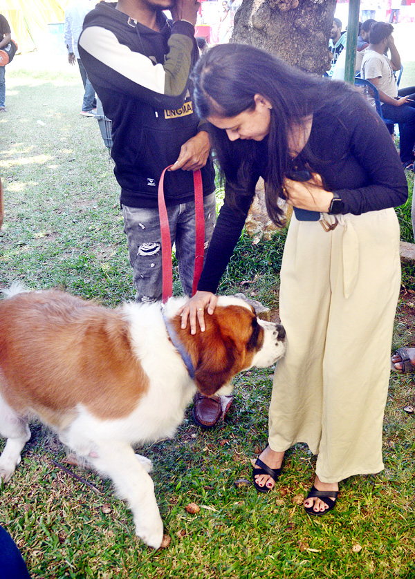 Dog Show Draws Huge Crowds In Visakhapatnam - Sakshi10