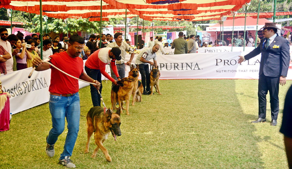 Dog Show Draws Huge Crowds In Visakhapatnam - Sakshi12