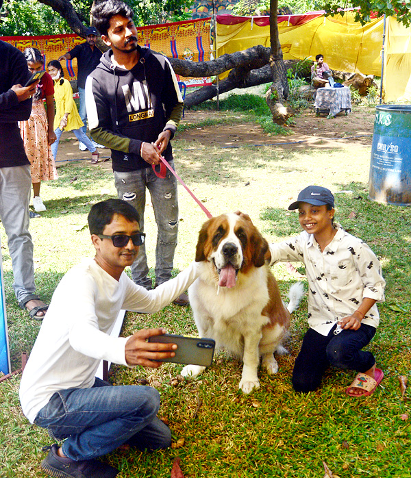 Dog Show Draws Huge Crowds In Visakhapatnam - Sakshi13