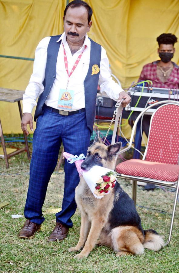 Dog Show Draws Huge Crowds In Visakhapatnam - Sakshi14