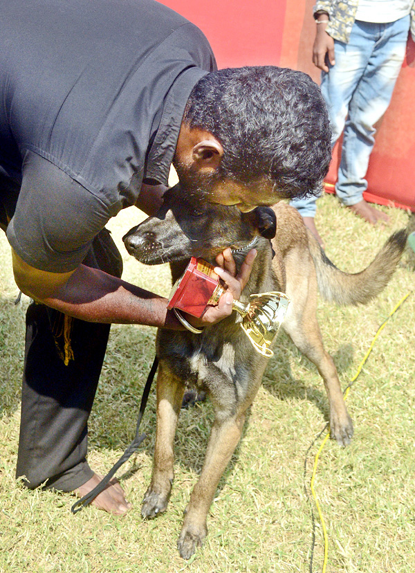 Dog Show Draws Huge Crowds In Visakhapatnam - Sakshi19