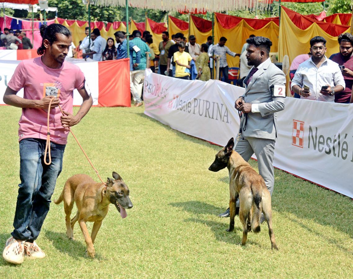 Dog Show Draws Huge Crowds In Visakhapatnam - Sakshi21