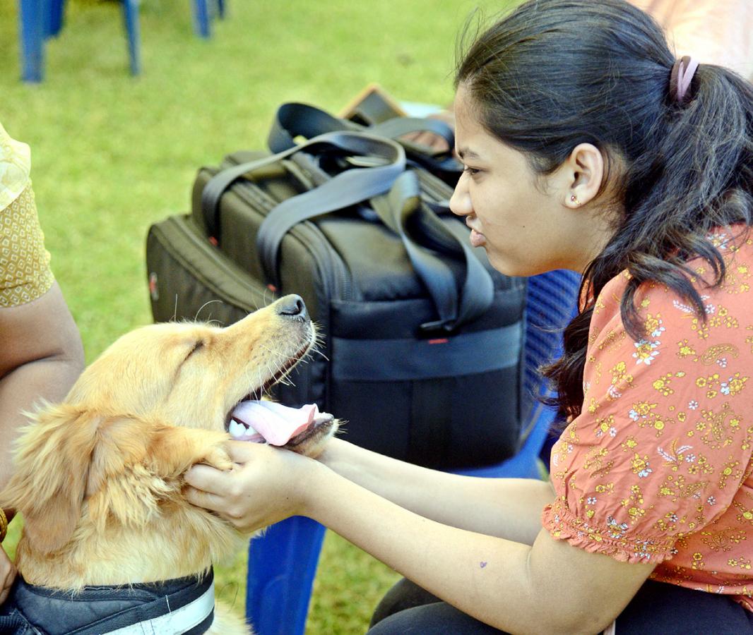 Dog Show Draws Huge Crowds In Visakhapatnam - Sakshi22